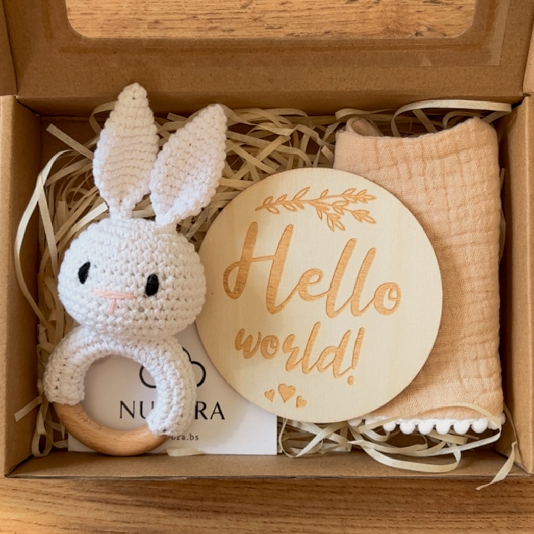 Canastilla Mini “Primeros Mimitos” 🐰